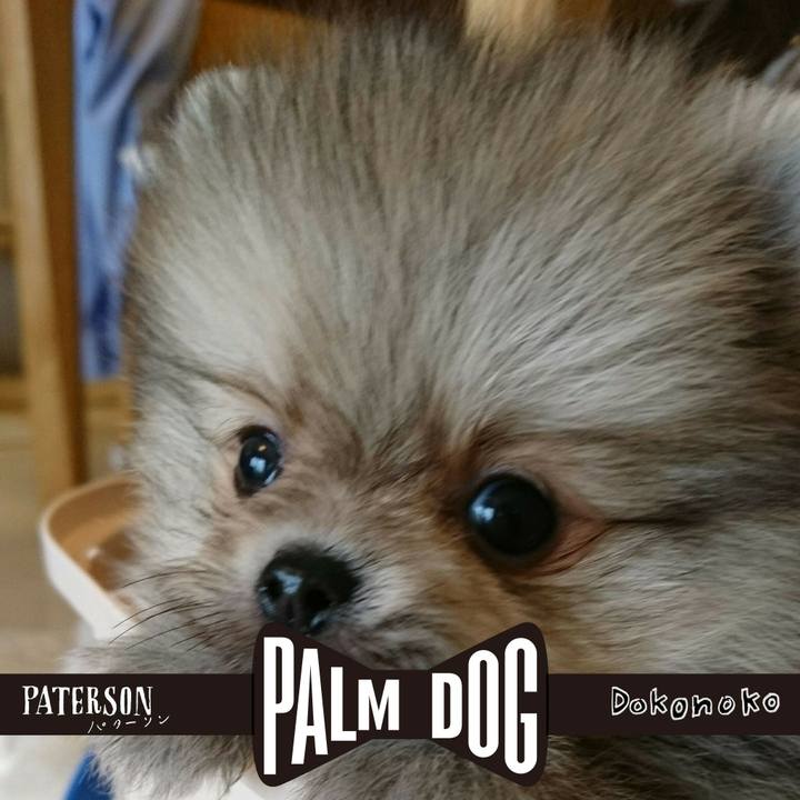 0ddfe25f 79d4 41e0 8cf4 add375a0897f