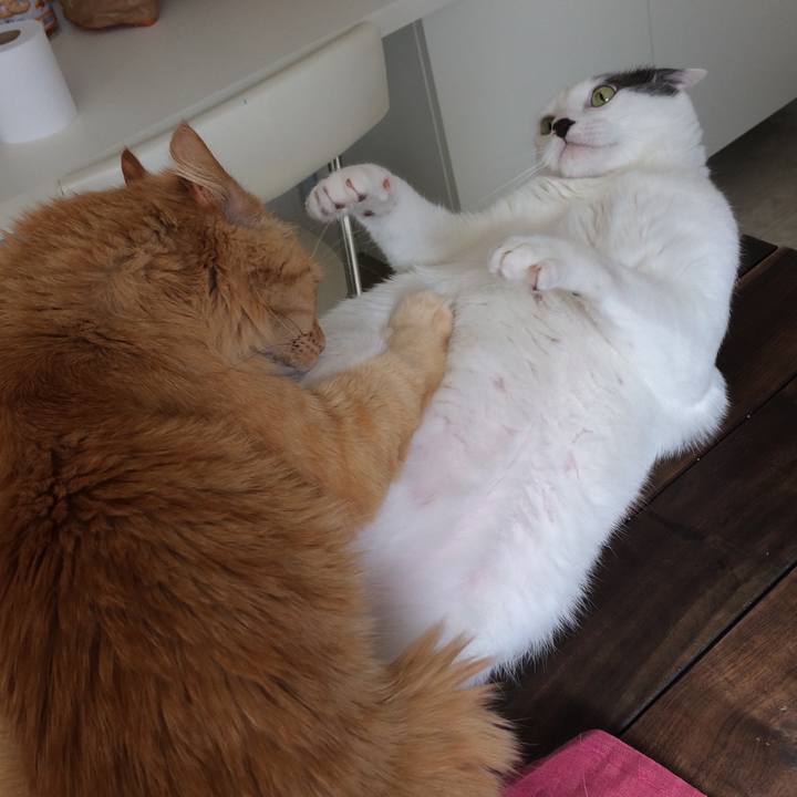 0de0c191 4ddb 4414 bf87 ae4ac1ca99fa