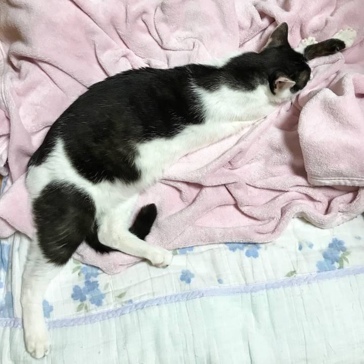 0de25924 f585 4cc5 8d92 222d89c4ef63