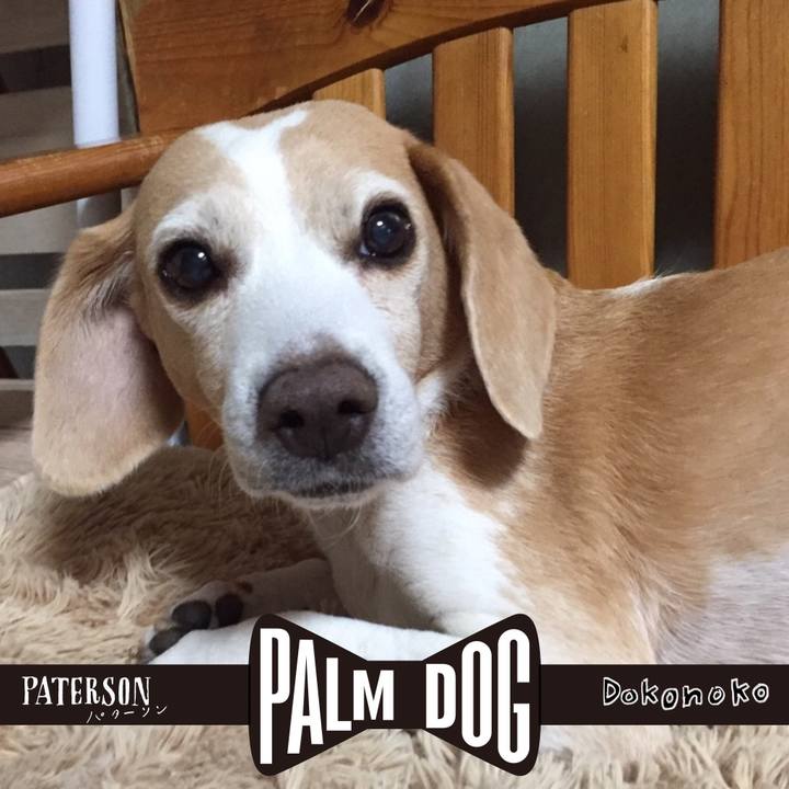 0de2f007 e42b 499e ac70 f112a1cfa069