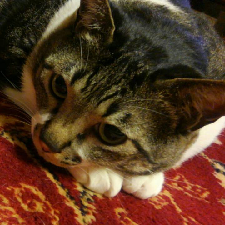 0de36910 1f82 44d1 962f 2416c6eee3ba