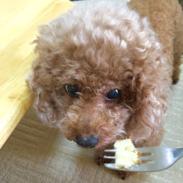 0de3efa5 a72e 4c21 b2fc d2a62afe14ad