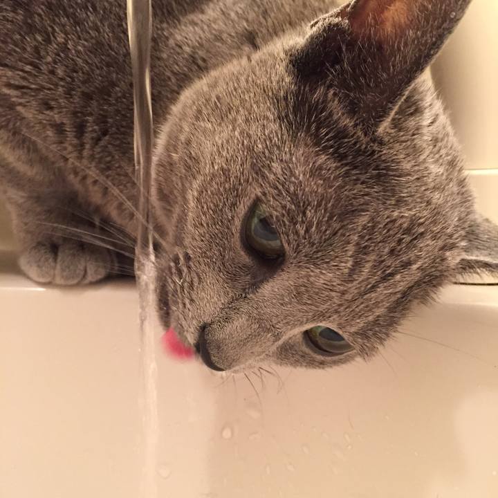 0de49476 bac1 4023 8f69 961f1650a40f