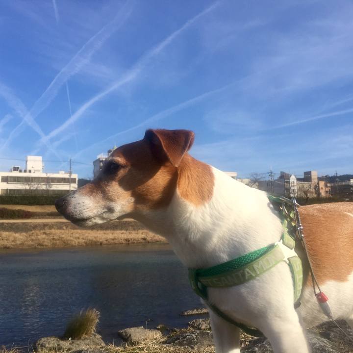 0de5503d fb7e 4b7e 845a 0806a13e1d34