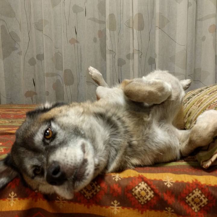 0de56380 7450 4ea5 b34c 2b0ca3484fba