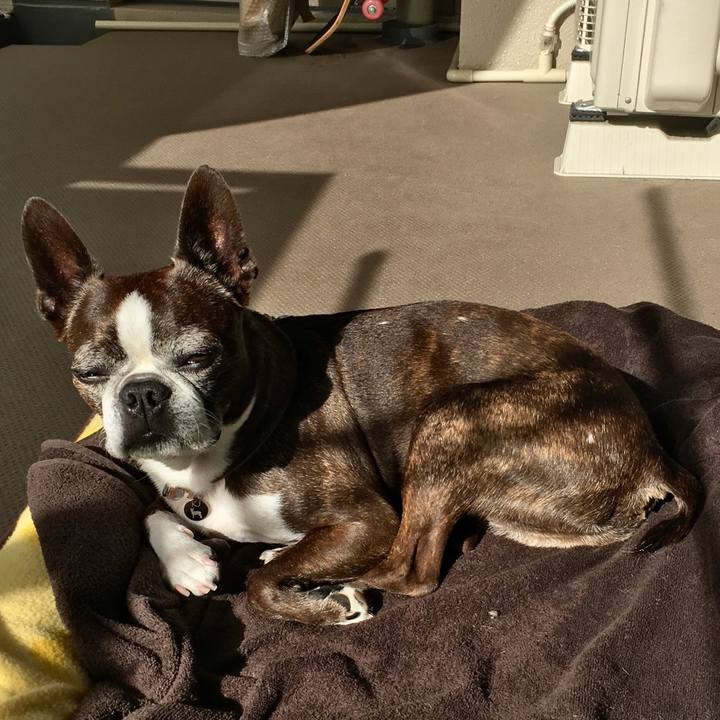 0de5d886 8efc 4cef a281 c42f102f919e