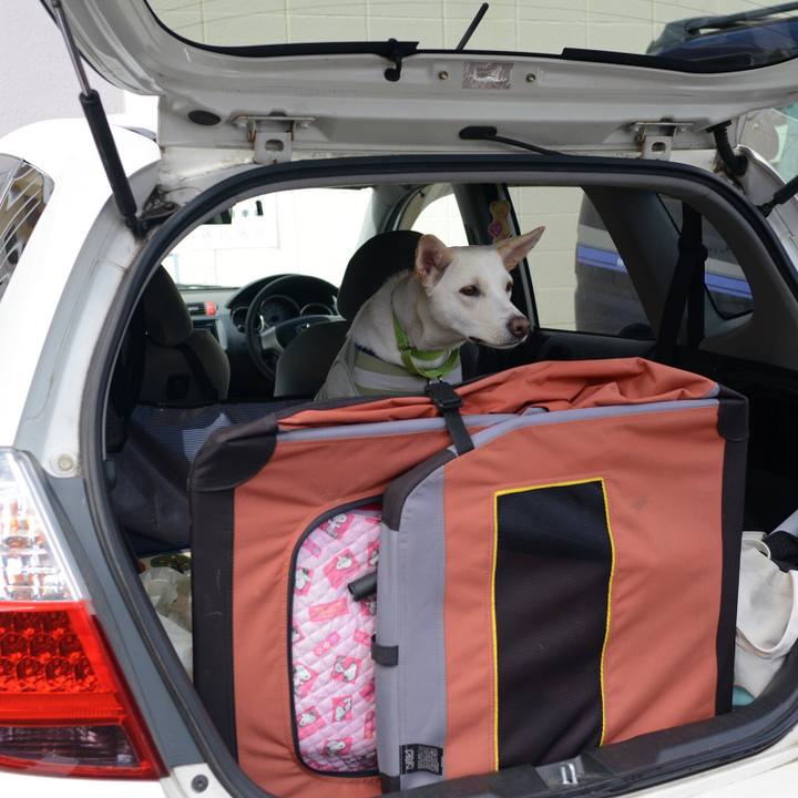 0de61f7b 4a83 455b 9f2b 1a0d68329328