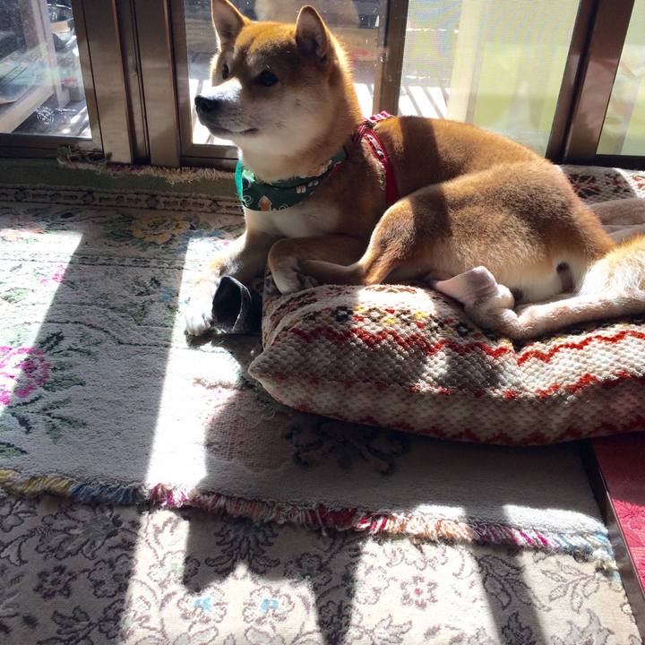 0de66a65 9019 4149 bc89 d8698797d9b4