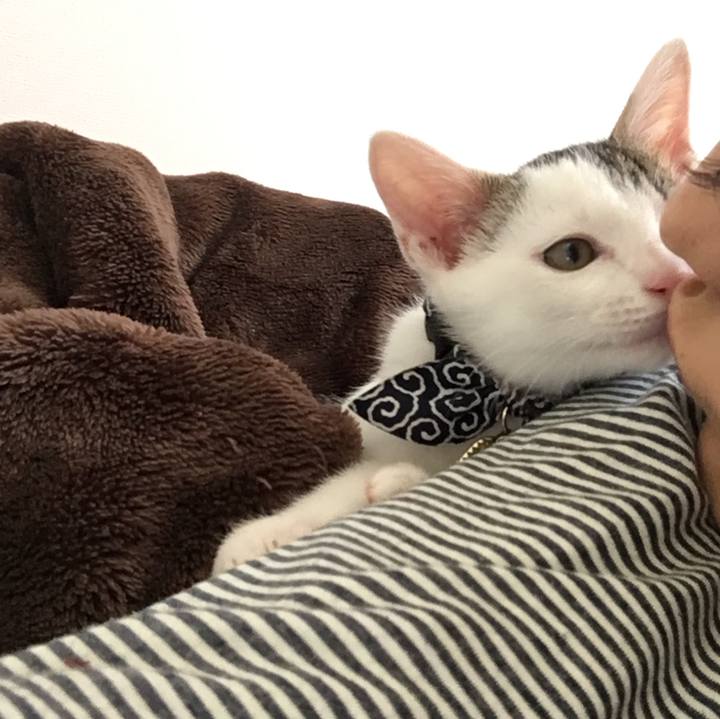 0de6f713 e977 4315 85c1 96dcb1c4a1ba