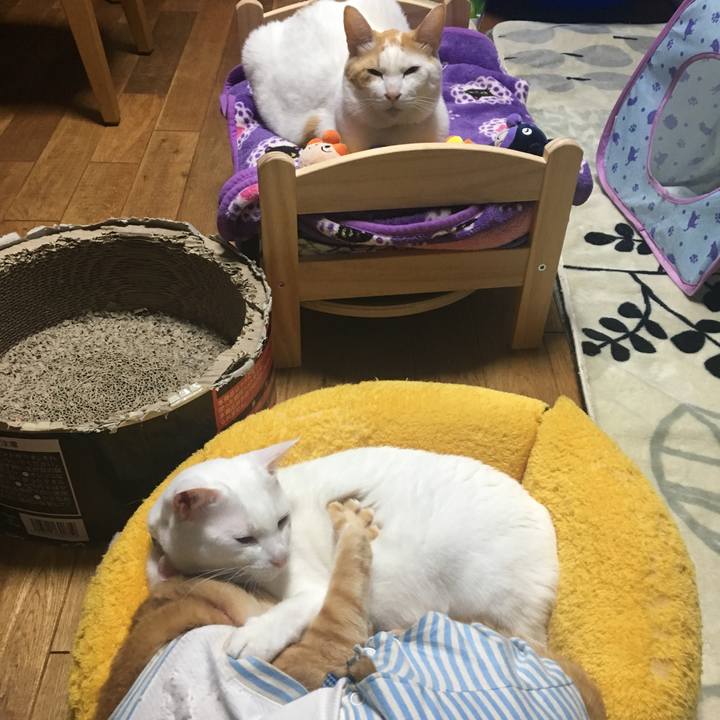 0de7329e e15c 423d 8617 8e0be94dab26