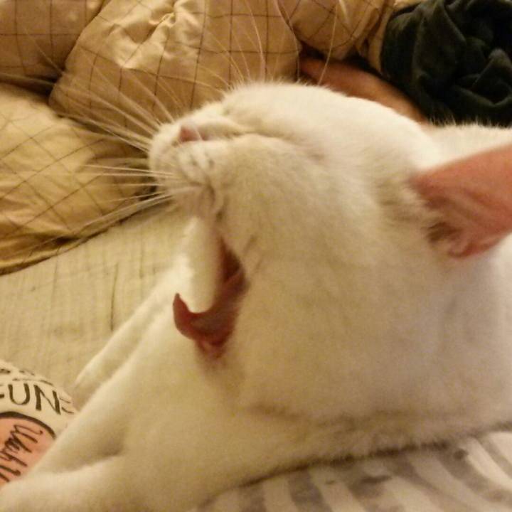 0de754be 0414 4c98 a6e8 7a6550d23a46