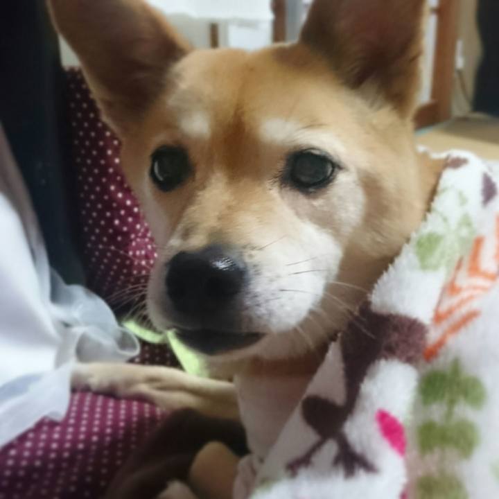 0de76dca 029d 4293 9315 c7cfa631f9f7