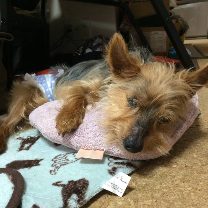 0de7cb50 826f 4038 95f7 e810a2ffada3