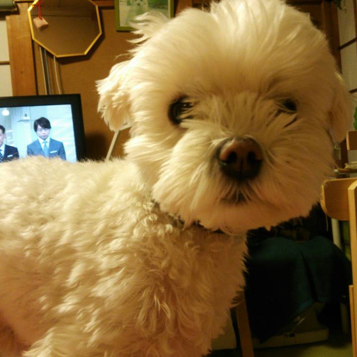 0de8daab 21b7 498e b555 287721733cff