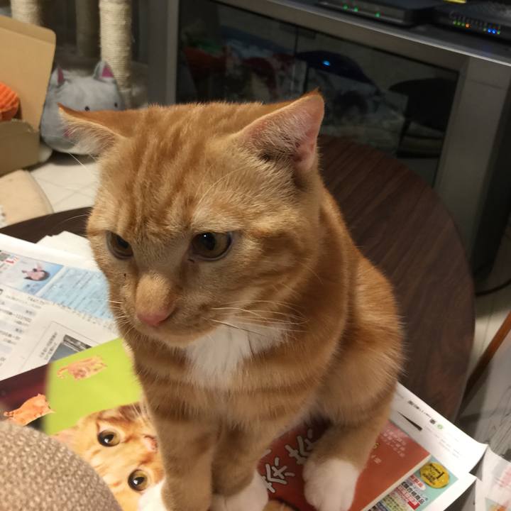 0de91f14 ab59 4a1f b1b9 bd7a8288bad6