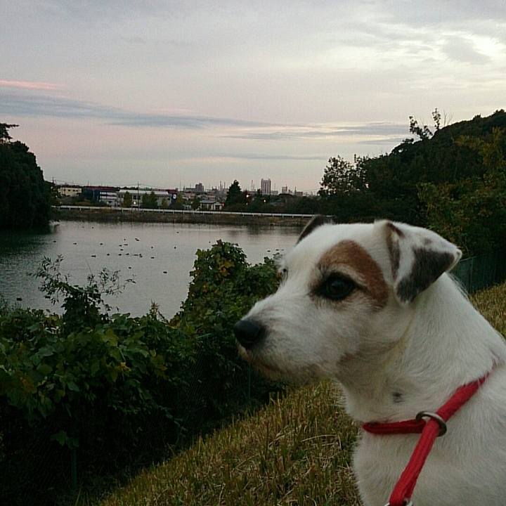 0de9425d 9426 47c5 ad7c 48eccdf8b972