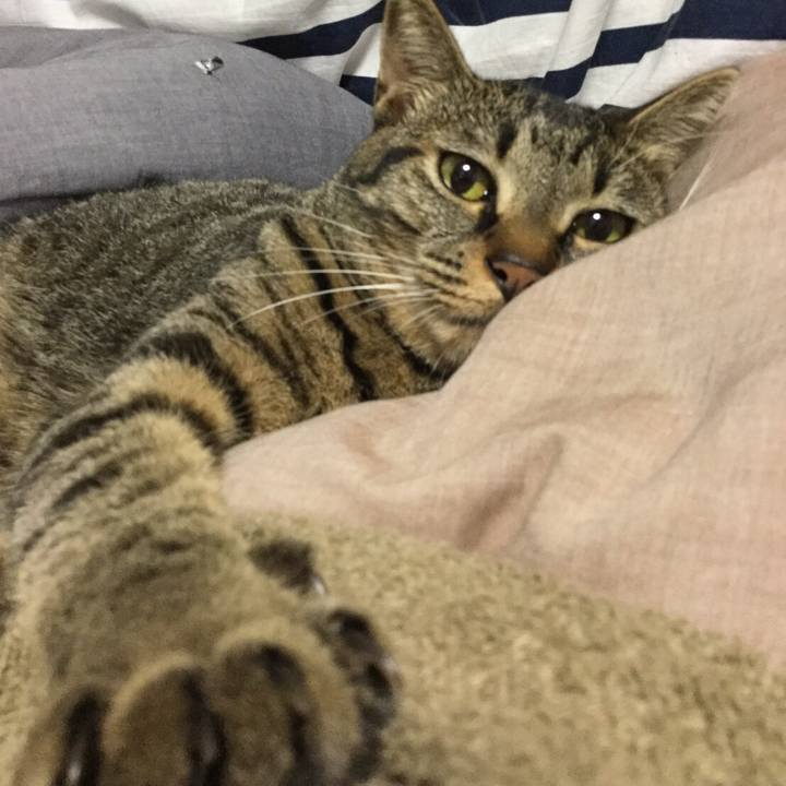 0dea91d1 48be 46f5 bc3d 31d4b5ab0fa6