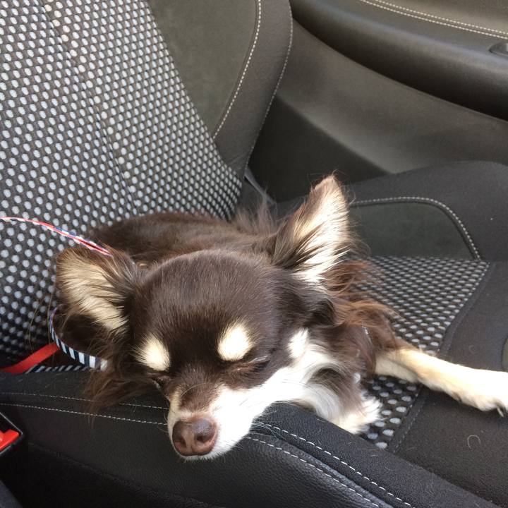 0deab366 5c7a 4434 ba0b dc4d55128638