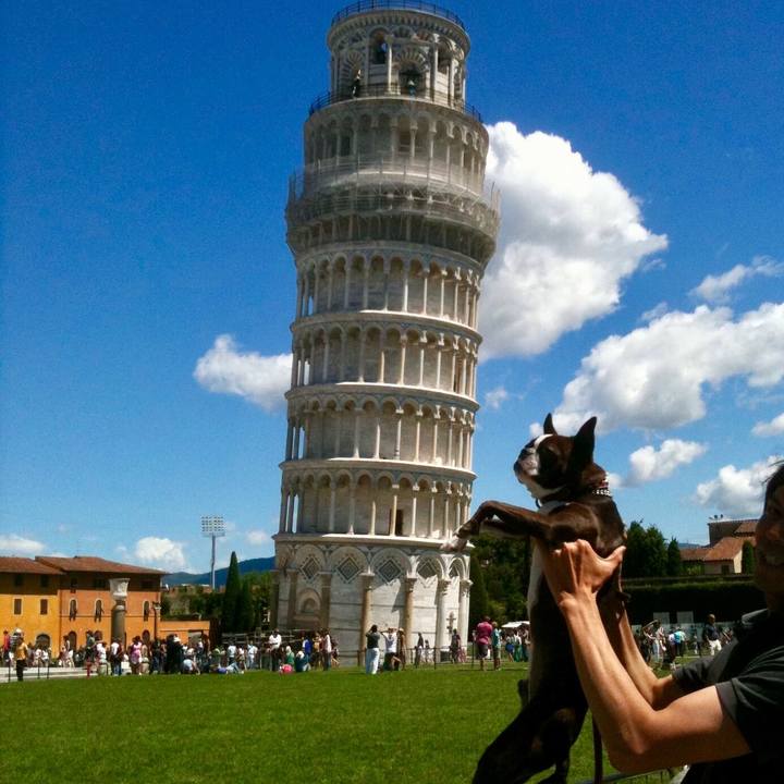 0deadfd7 3326 4321 a6ed 2d54aa3f85de