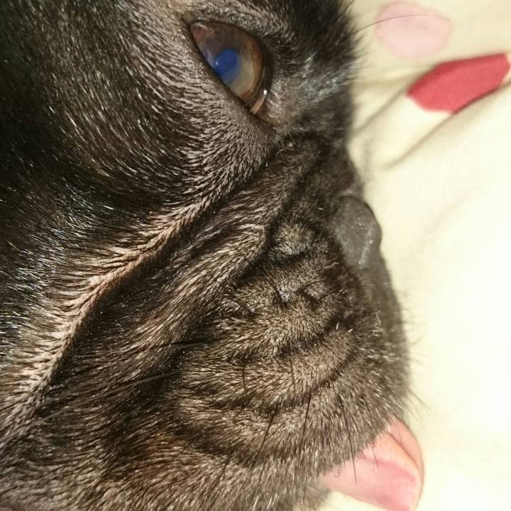 0debe9be 05ad 43fe b053 b288b80a5bca