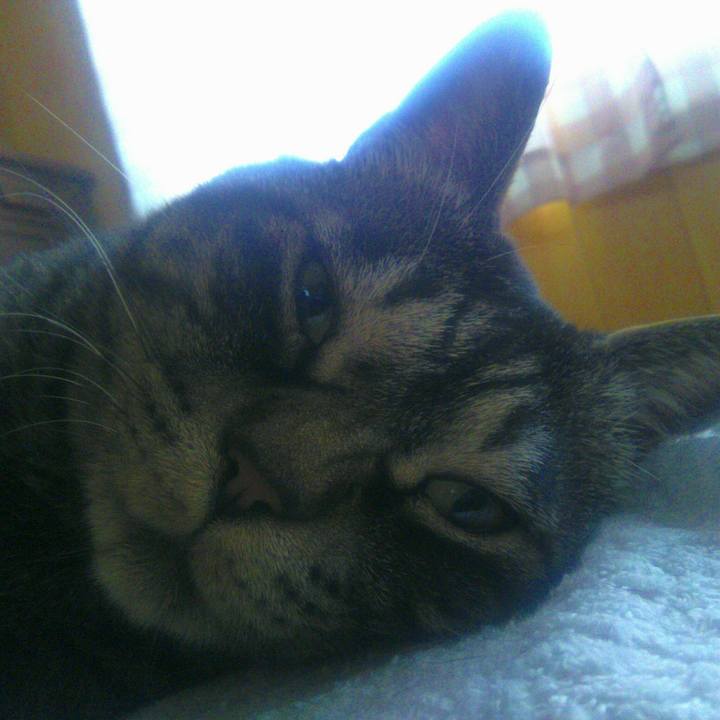 0debf230 94e7 4009 bb78 354b52bc44ad