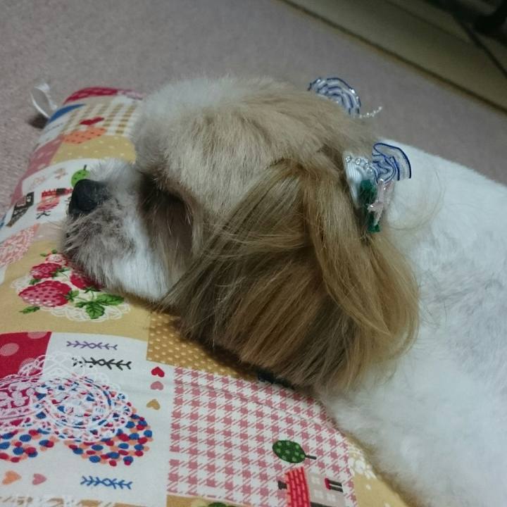 0dec1fdc 3097 4608 b41f 3e35a182b633