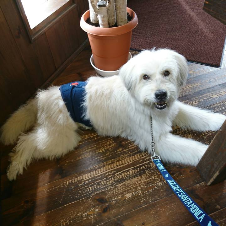 0ded11ea 2e0b 4b24 b552 ca342300dd7e