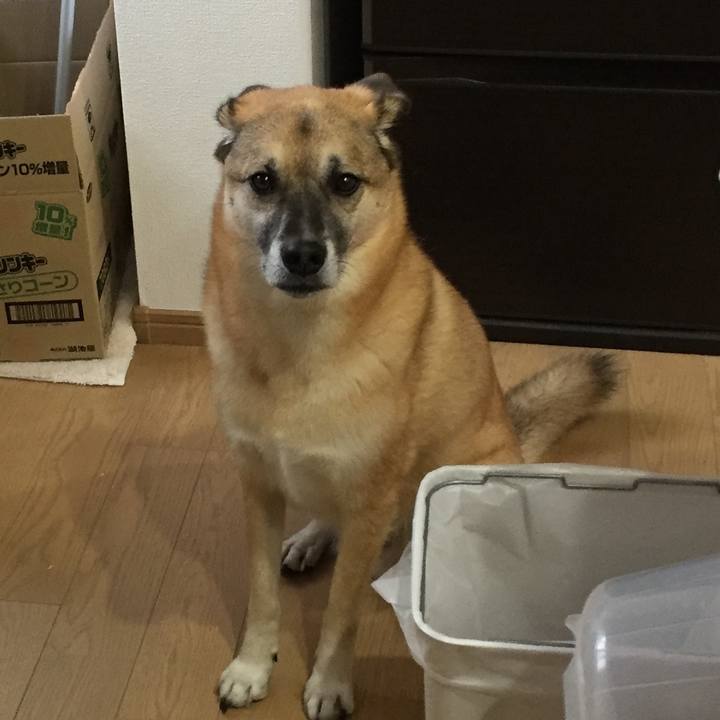 0ded9f59 a451 41ad afae 34cb9ec2e778