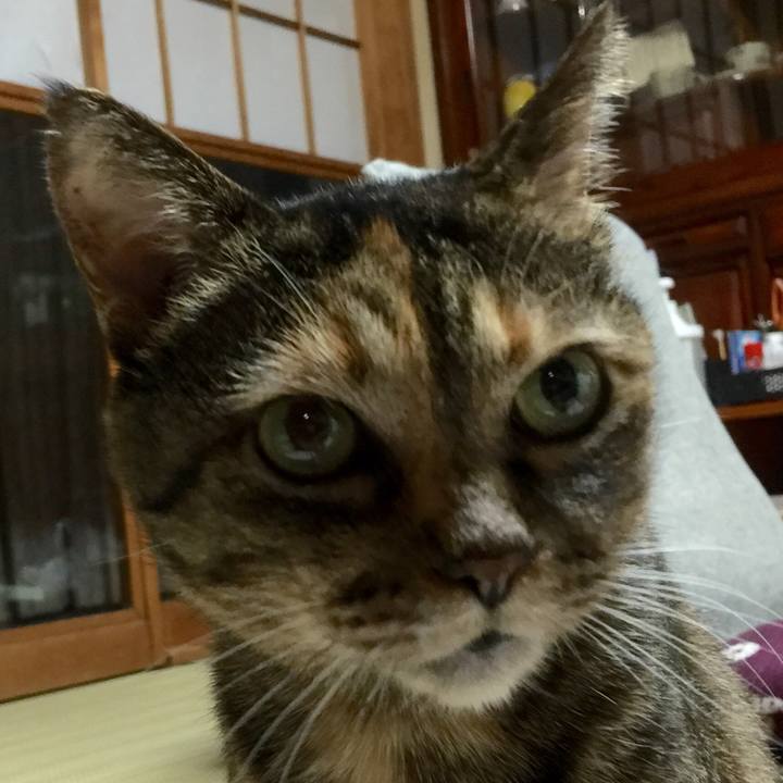 0dedf7c5 5018 4da1 b07a 5018fb9879ec