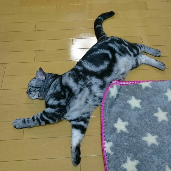 0dee6c4f 6184 4237 a490 348b329d6715