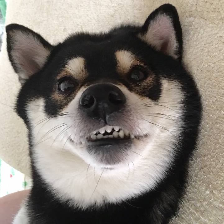 0df024f1 800c 4cf0 b500 ab68e927fe92