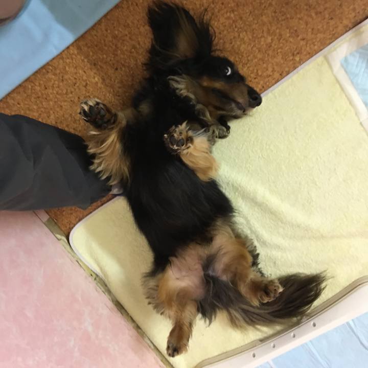 0df11aab fbc5 448c 91b6 603405718056