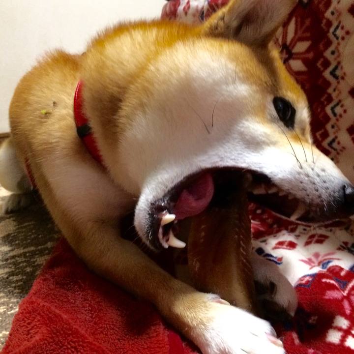 0df1552d 417a 46d9 960e a38b0e4fdc90