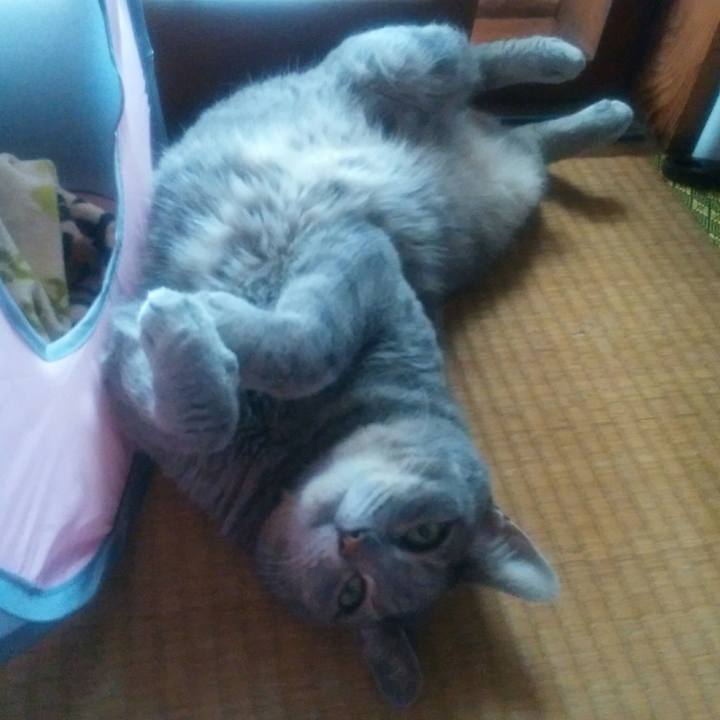 0df18b03 b094 40fe bc06 39aca25f1709