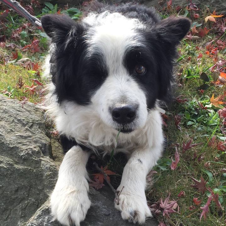 0df225cf 5dc2 4e32 8bc5 19a4c99ceed2