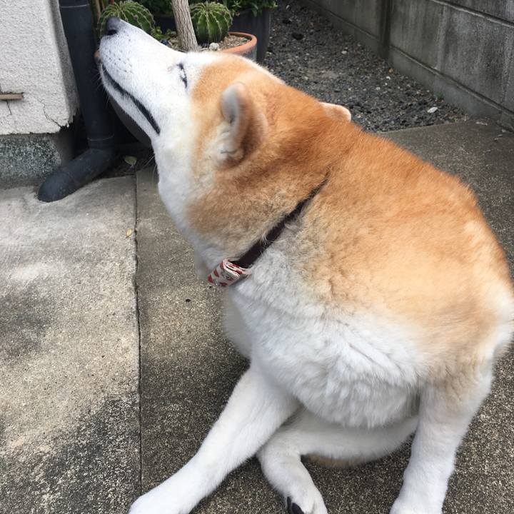 0df2ecfe 3a5d 43ed 821b a495c463285d