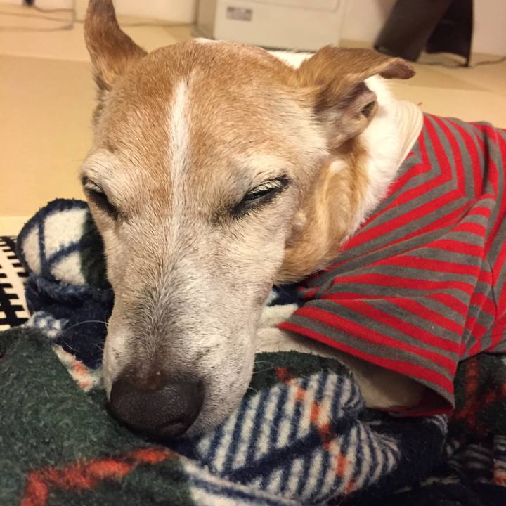 0df381d1 f4de 404a b410 093b8c2ca874