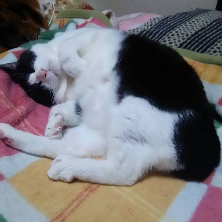 0df47213 27dc 4a69 8ff2 28d1819e8d6a