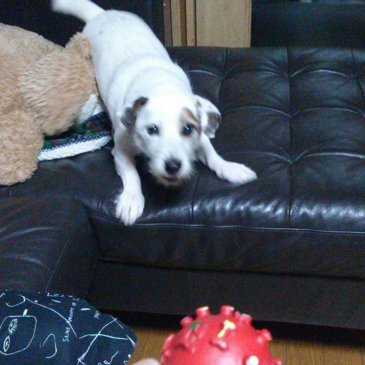 0df4c638 8cf2 4f5f b628 bad69c1ede7c