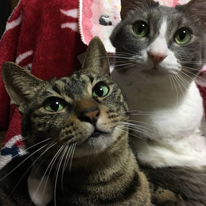 0df4e9a9 4f4e 4c0d 9db1 70f9985a8a48