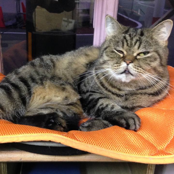 0df5a11e fd64 4ea9 ac2d 0474730b1bfd