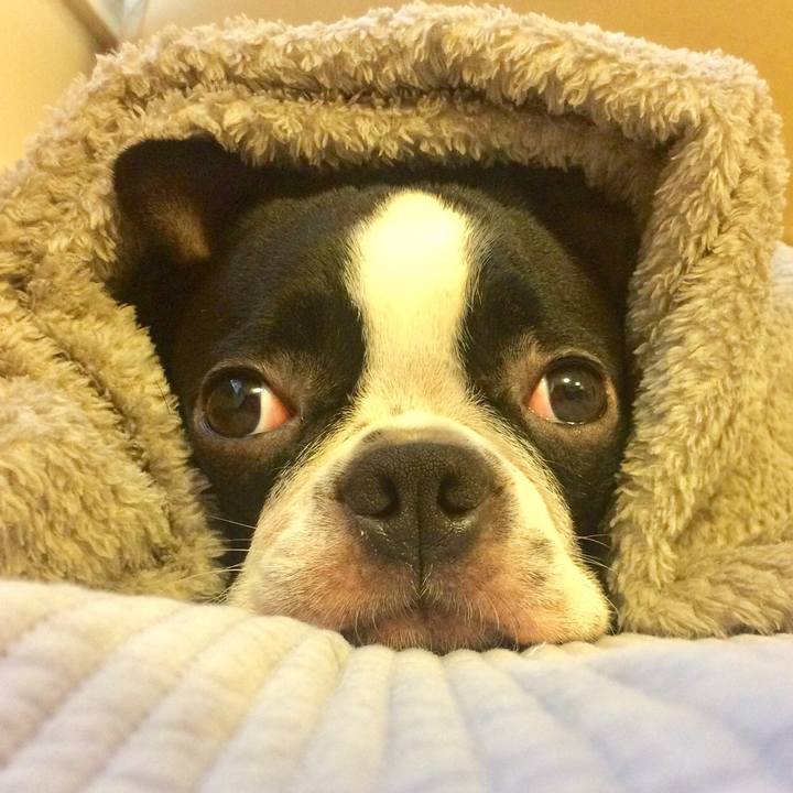 0df64a4c 3fe2 4dcb b94d 81cc0bfcdb98