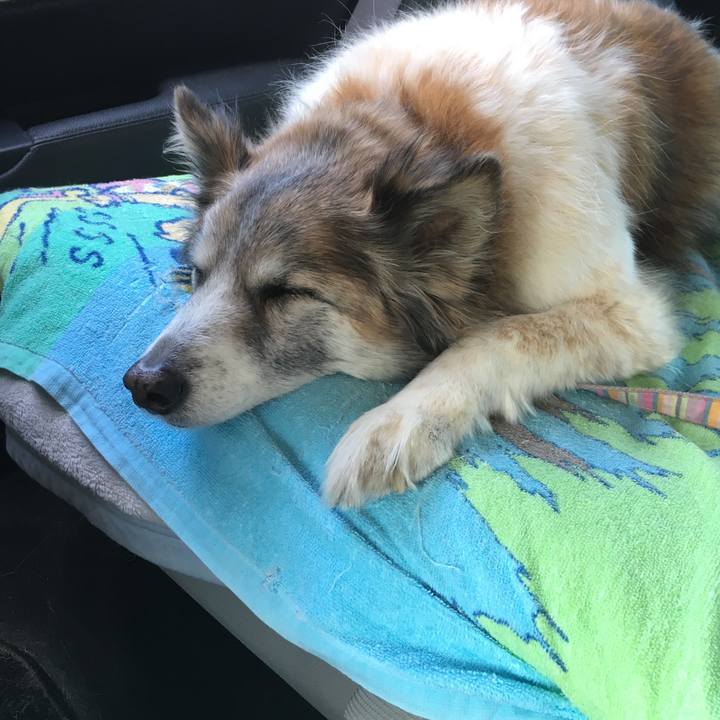 0df66041 5ef0 4aec af45 861d617ea140