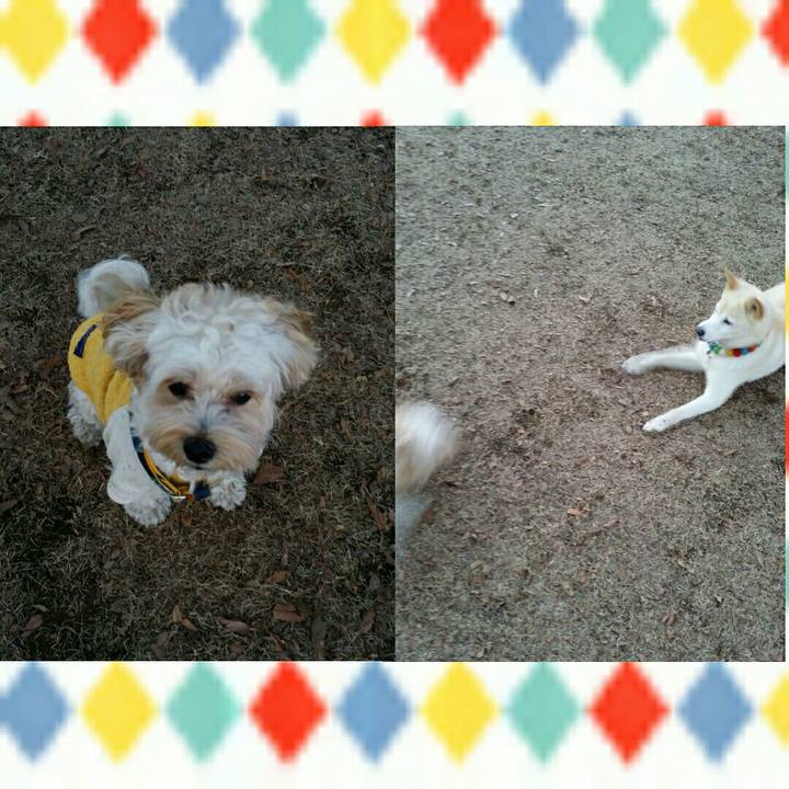 0df6c01f 740e 4c48 af1f 76f1c0ba8716