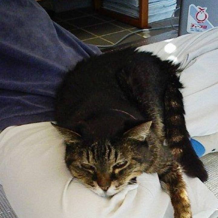 0df6c2e6 2c02 4871 ab4f 3d3ef131e8fa