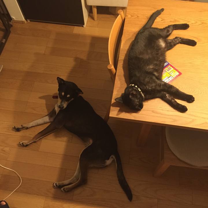 0df6dd64 d3b2 4c42 a410 0b8ac2fd68e9