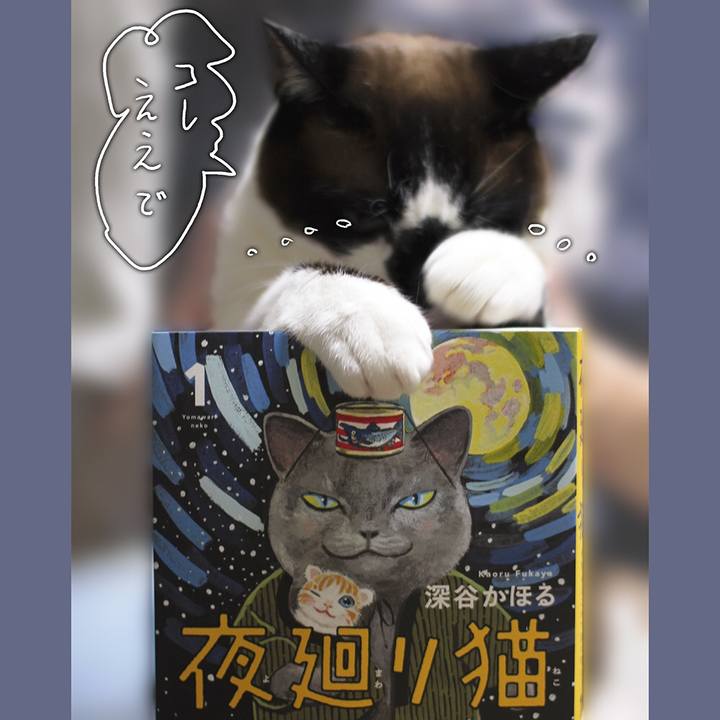 0df703bf ebe1 463a a848 e207edbc7e4c