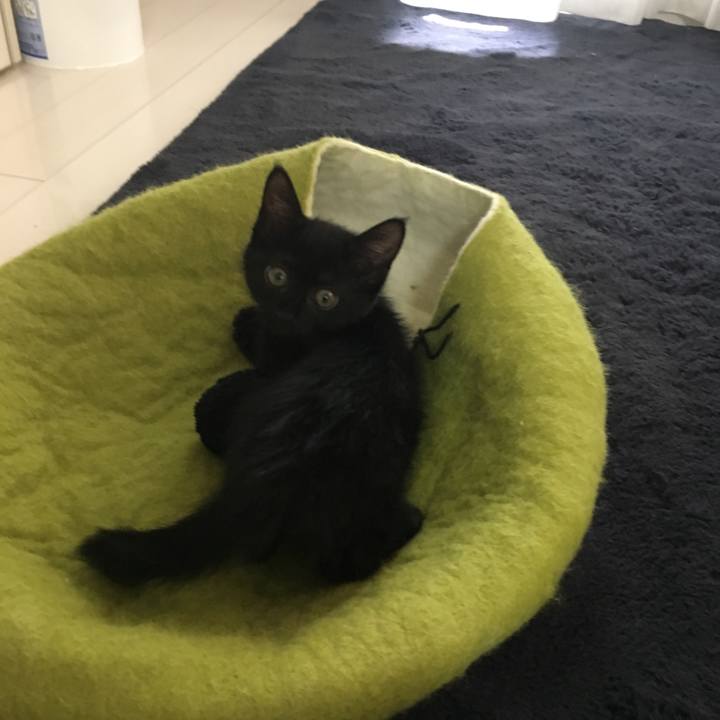 0df772d5 56e7 497e 80fd b78187107c4e