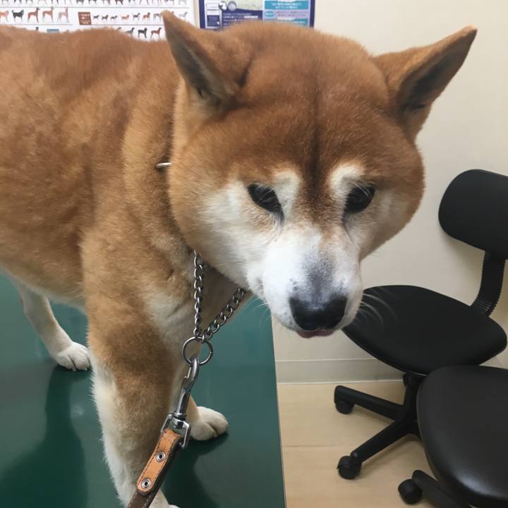 0df78d1d 0fb6 495f b637 7d024051272a