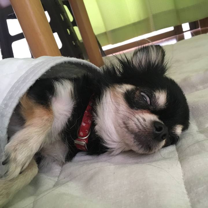 0df7e206 4151 4512 b18b 10f6af1c594f